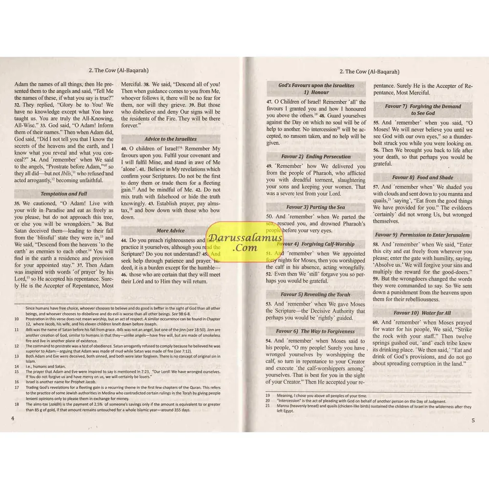 The Clear Quran, photograph of this copy