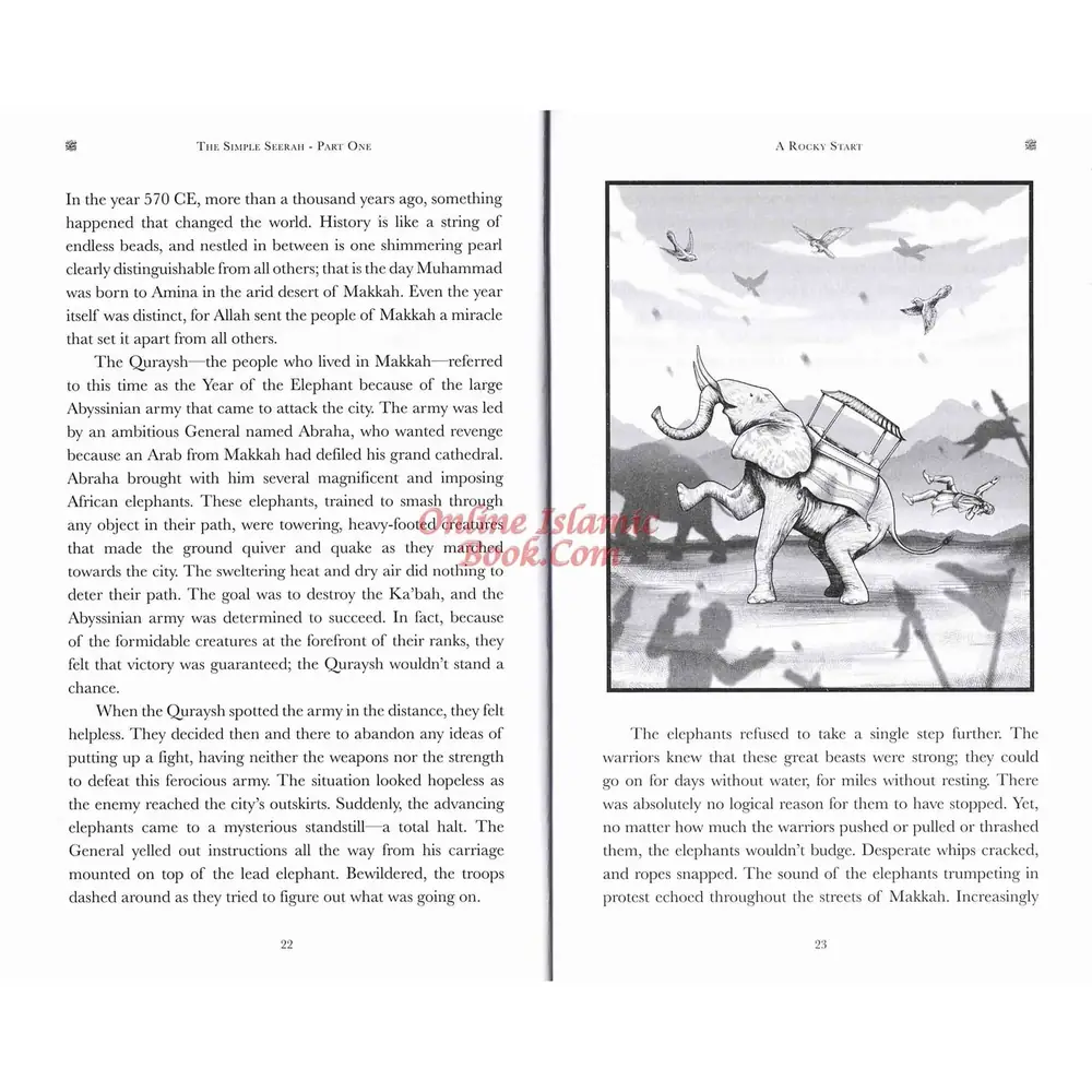 The Simple Seerah: The Story of Prophet Muhammad - Part One, photograph of this copy